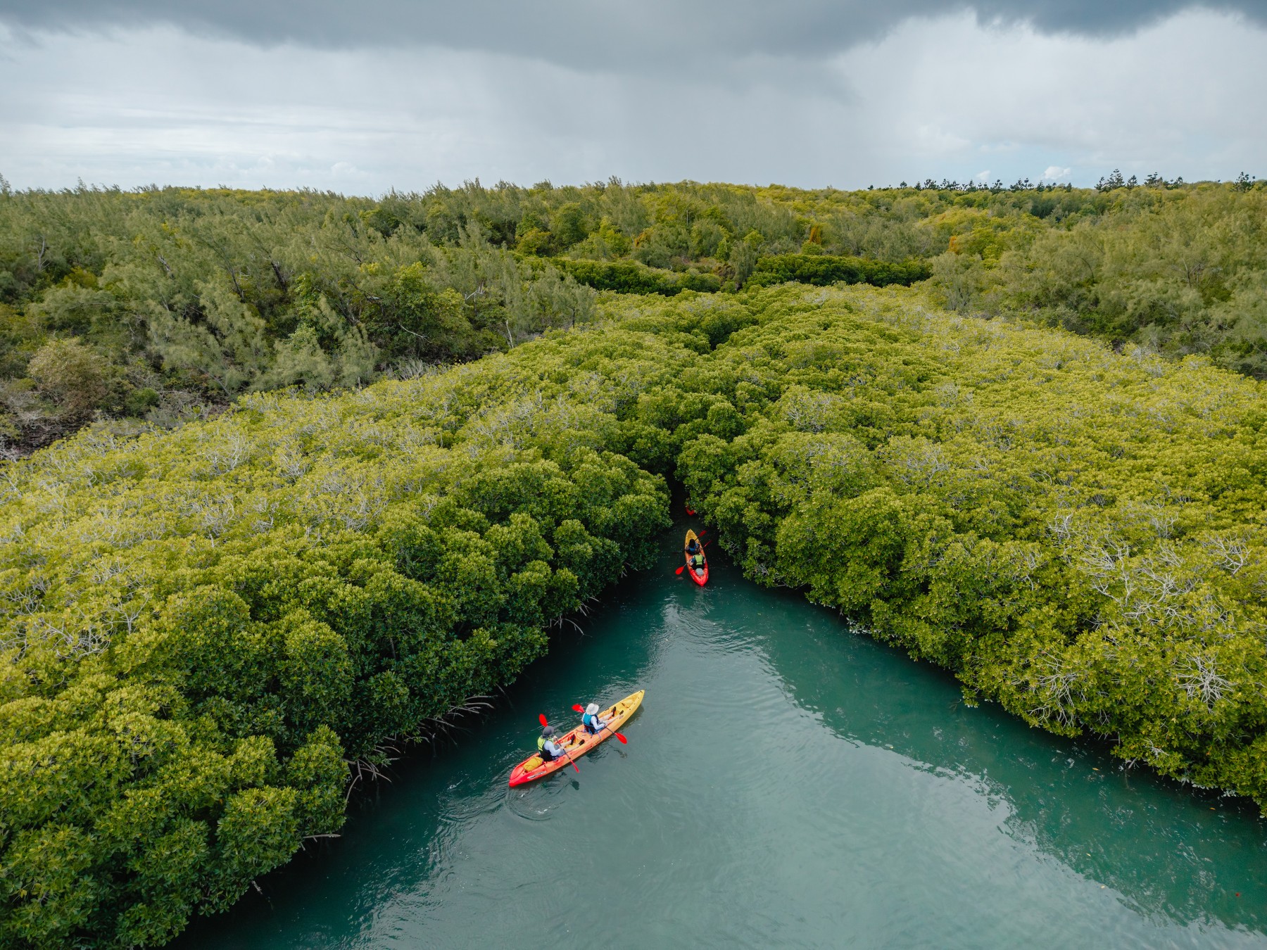 Kayak à Tamarin