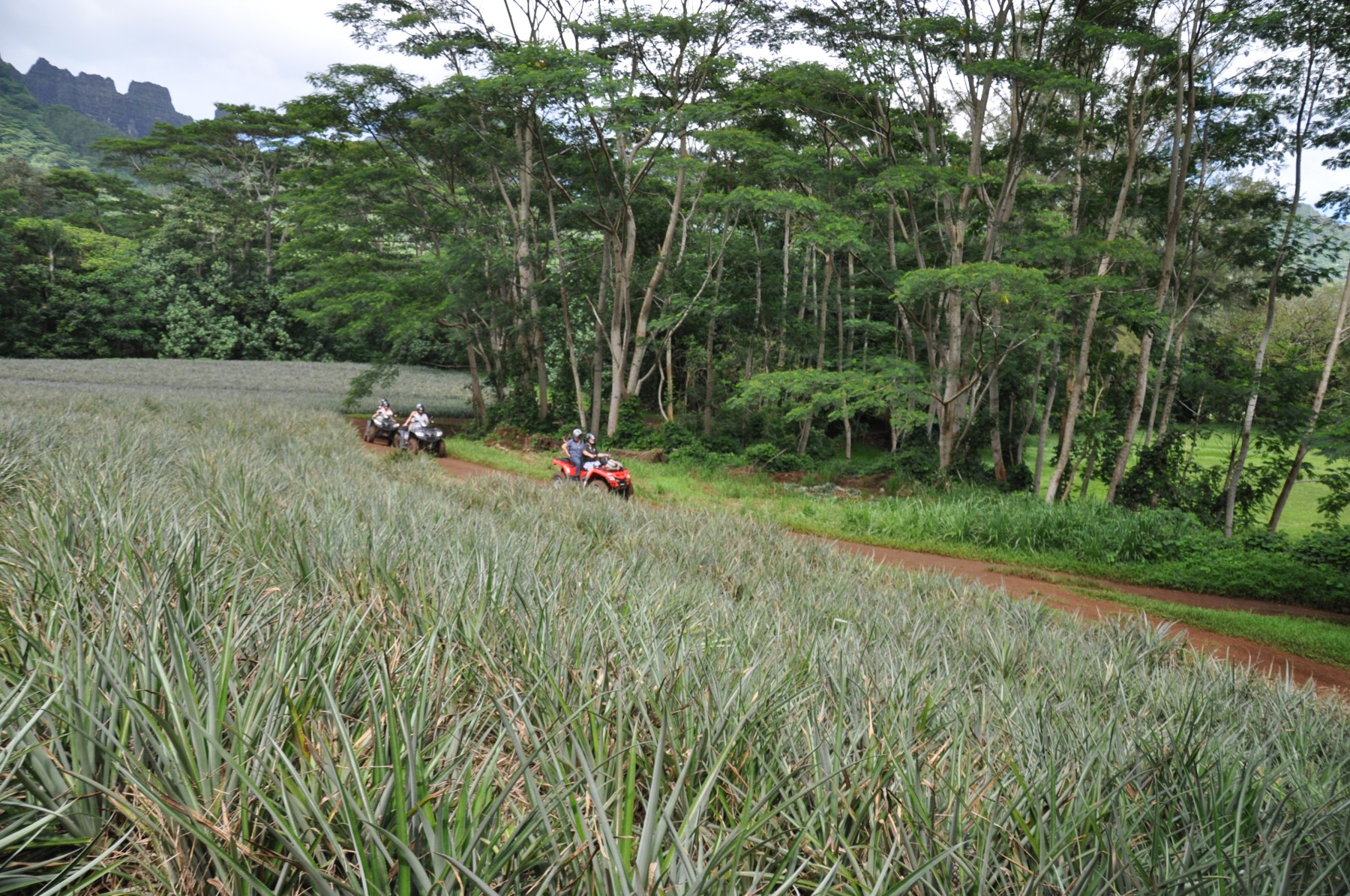 Aventure tout terrain