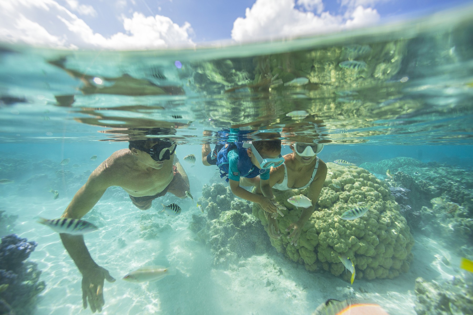 Tahaa, entre terre et lagon