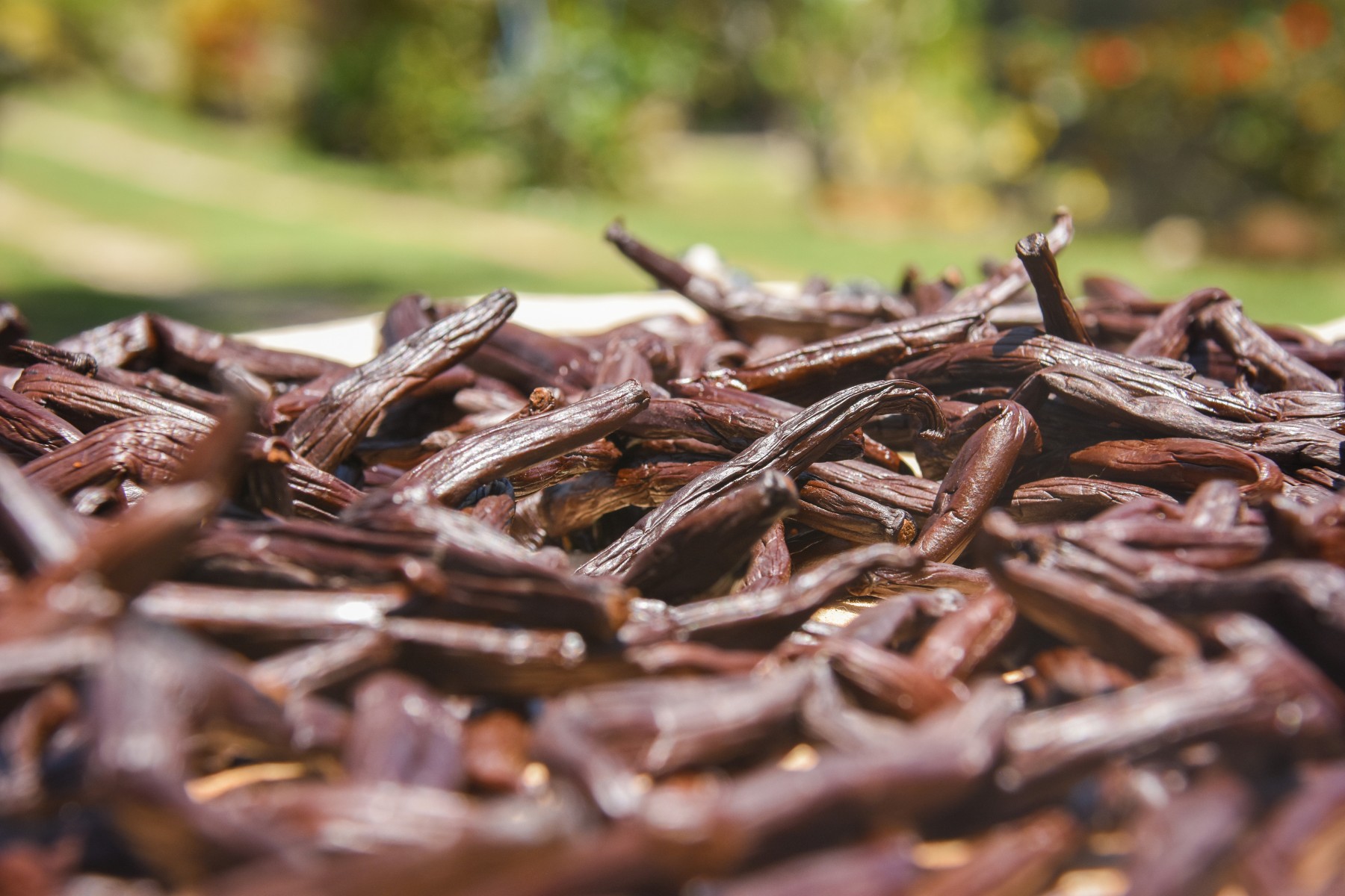Terre de traditions et lagon d’exception