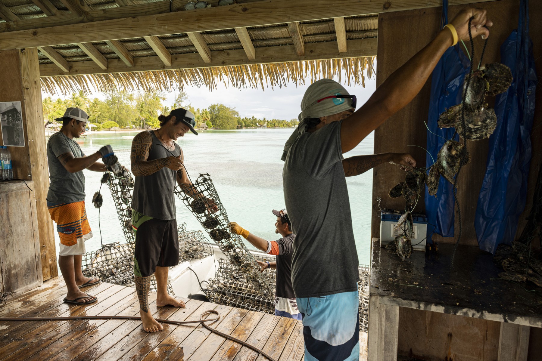 Tahaa, entre terre et lagon