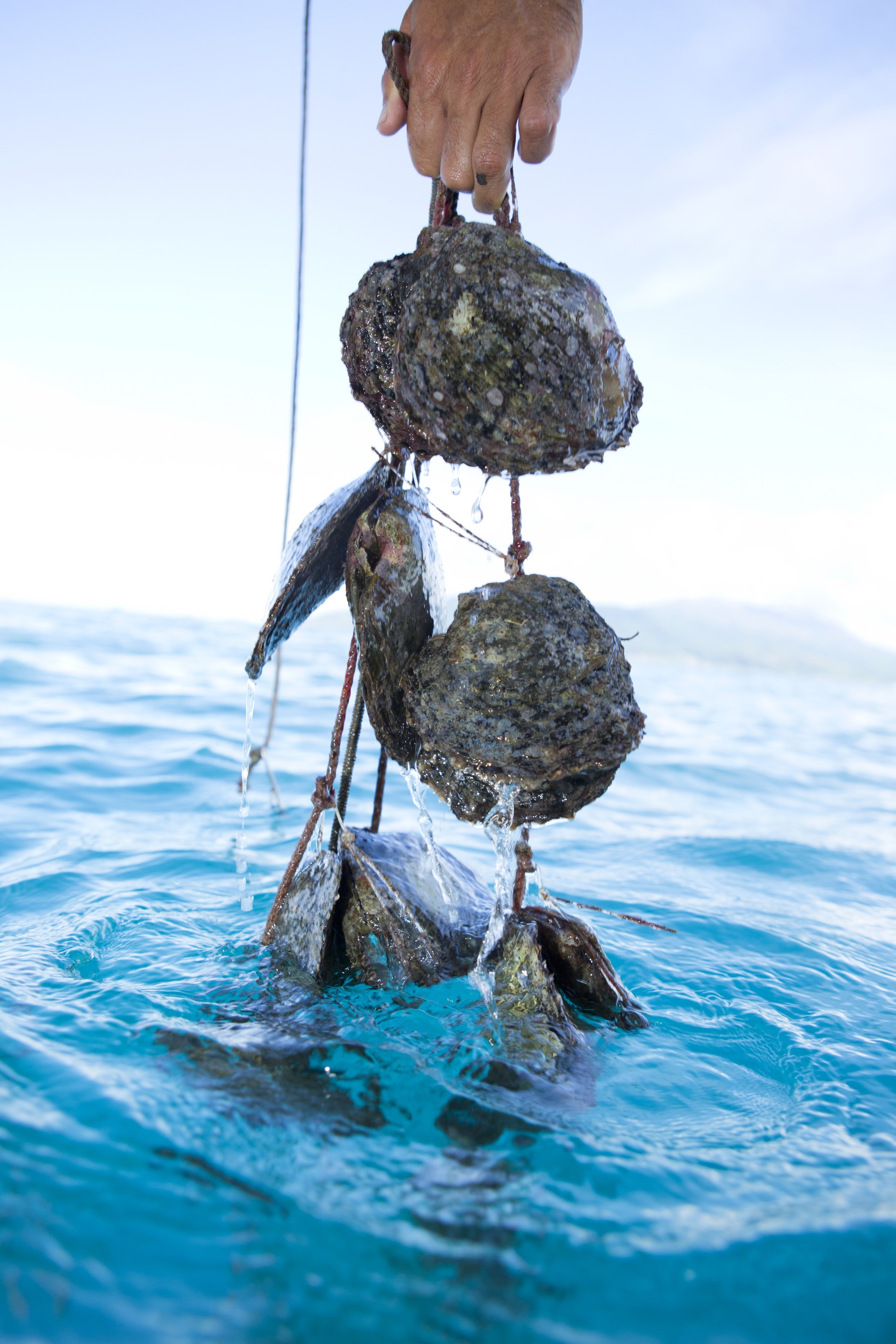 Tahaa, entre terre et lagon