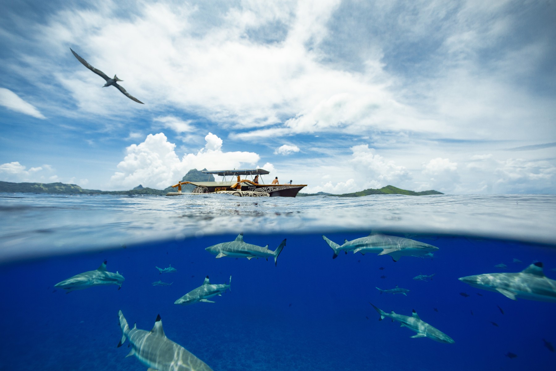 La pirogue, entre lagon et récif