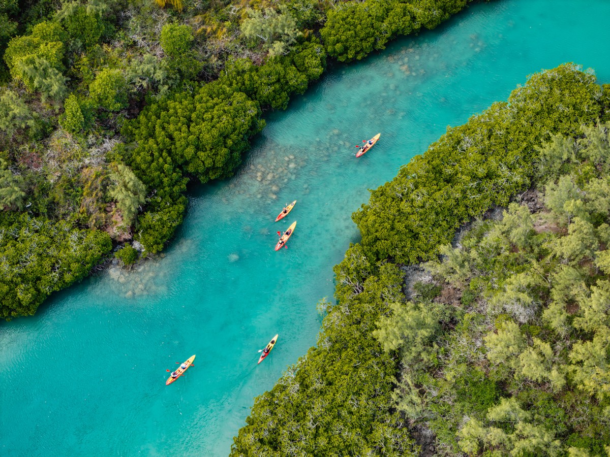 Kayak à Tamarin