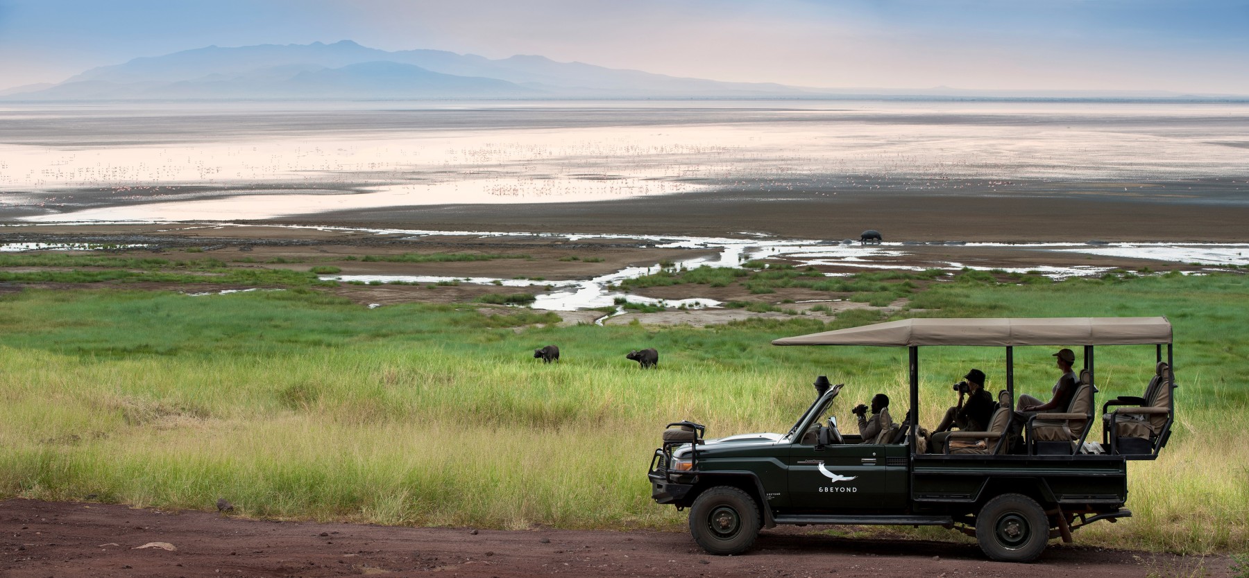 Safari Tembo