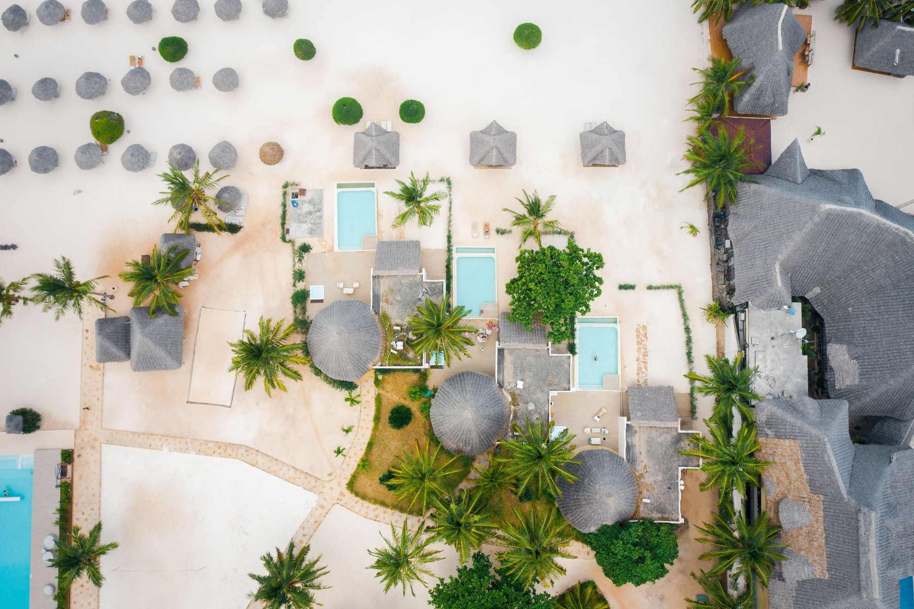 Gold Zanzibar