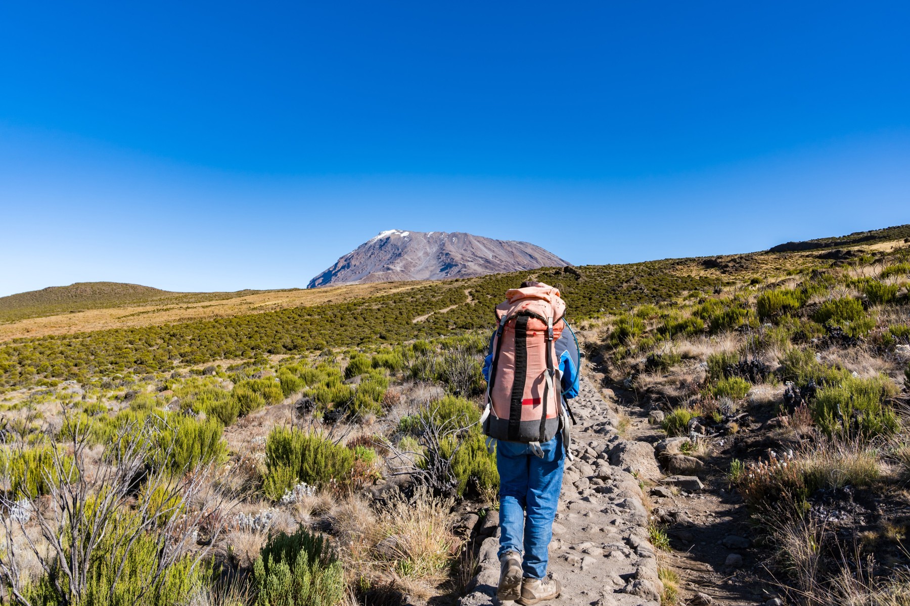 Trekking Tumbusi
