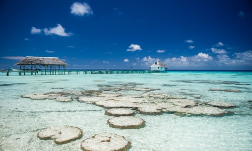 Pension Pearl Havaiki Lodge