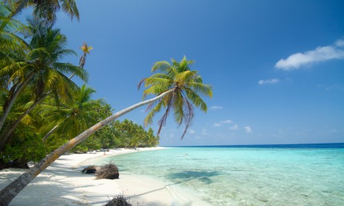 Filitheyo Island Resort