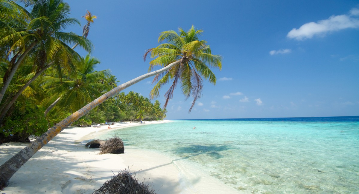 Sri Lanka D’île en île