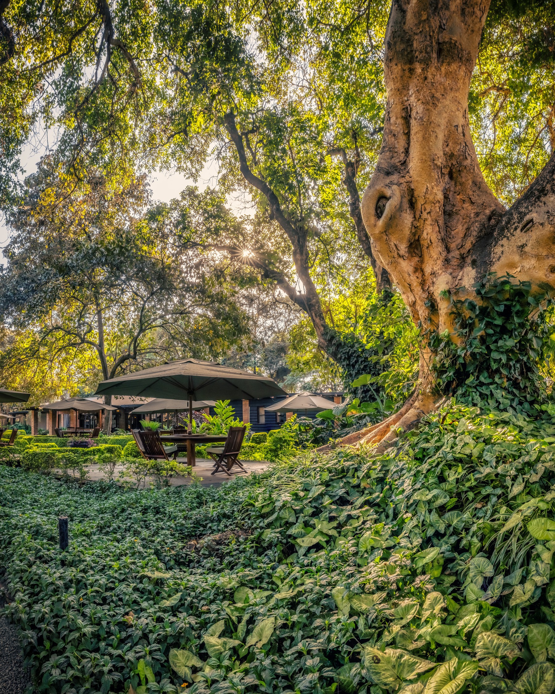 Arusha Coffee Lodge