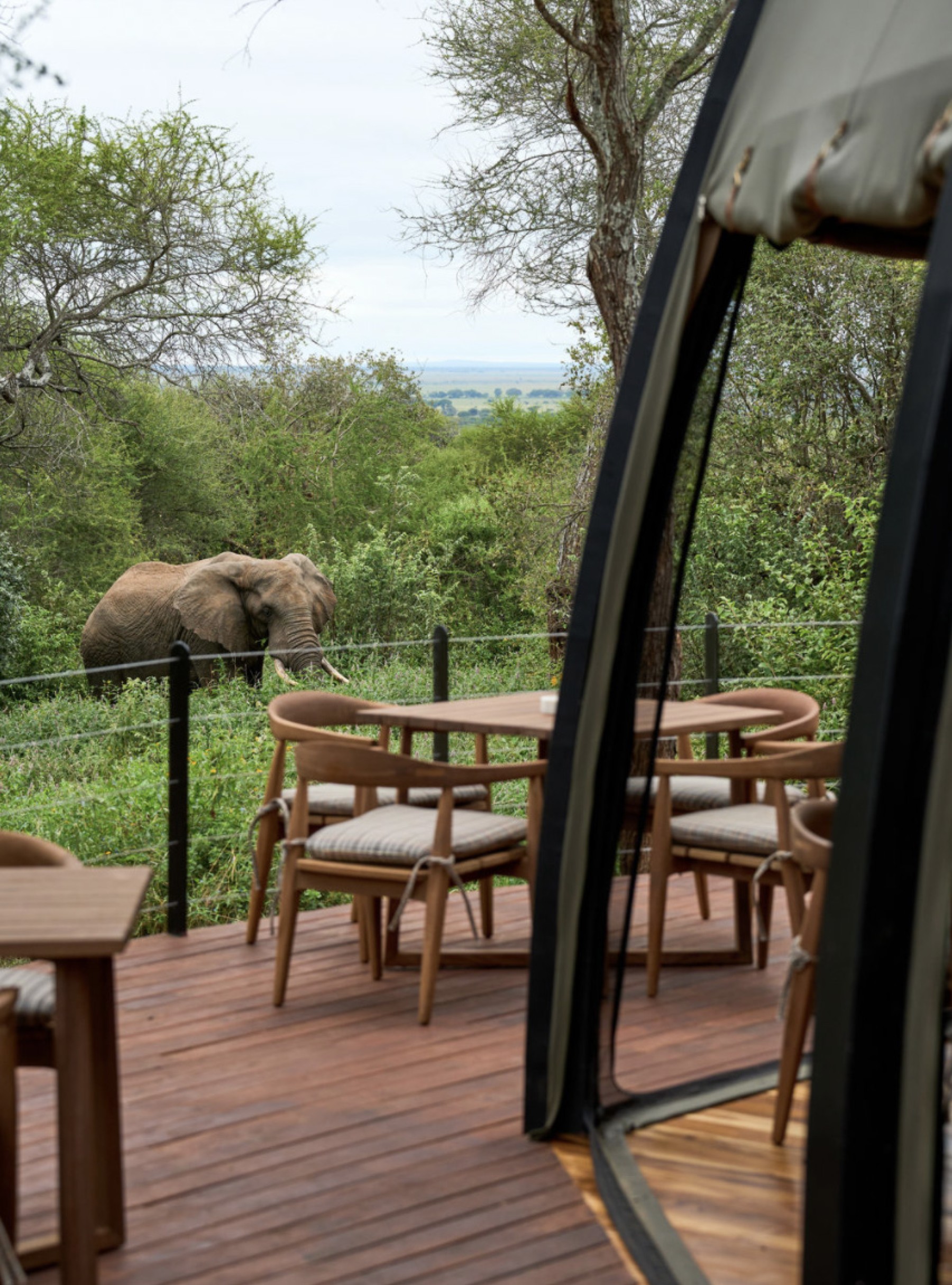 Siringit Tarangire Camp