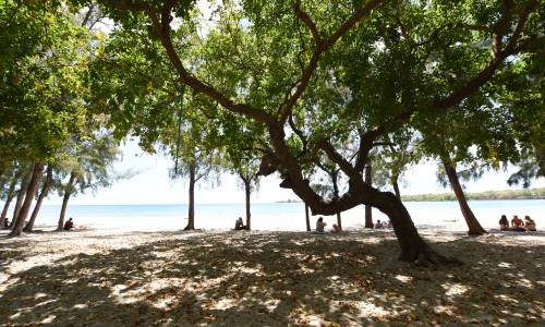 Veranda Tamarin