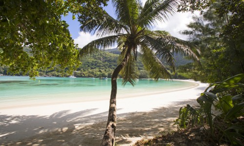 Constance Ephelia Seychelles
