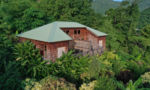 Jungle Bay Dominica