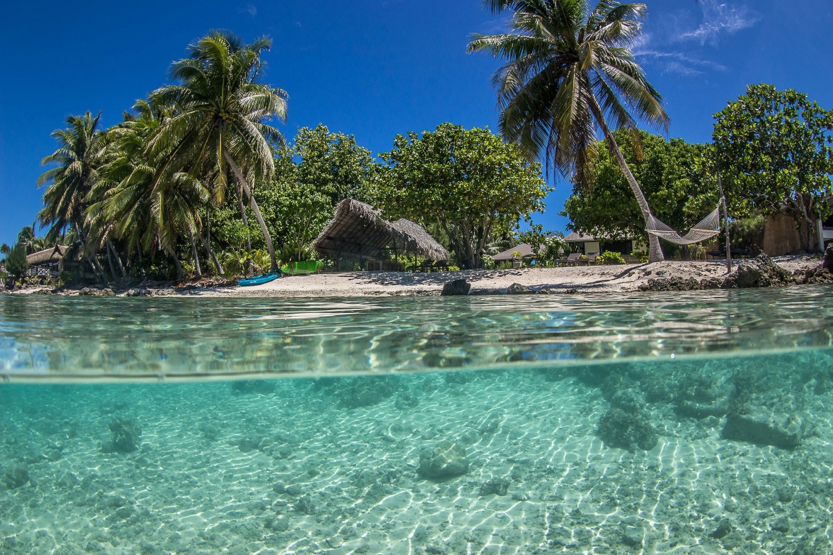 Pension Le Coconut Lodge