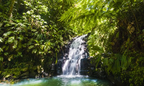 France, Guadeloupe, Basse-Terre, Petit-Bourg, cascade du parc floral et animalier de Valombreuse // France, Guadeloupe, Basse-Terre, Petit-Bourg, cascade of the floral and animal park of Valombreuse