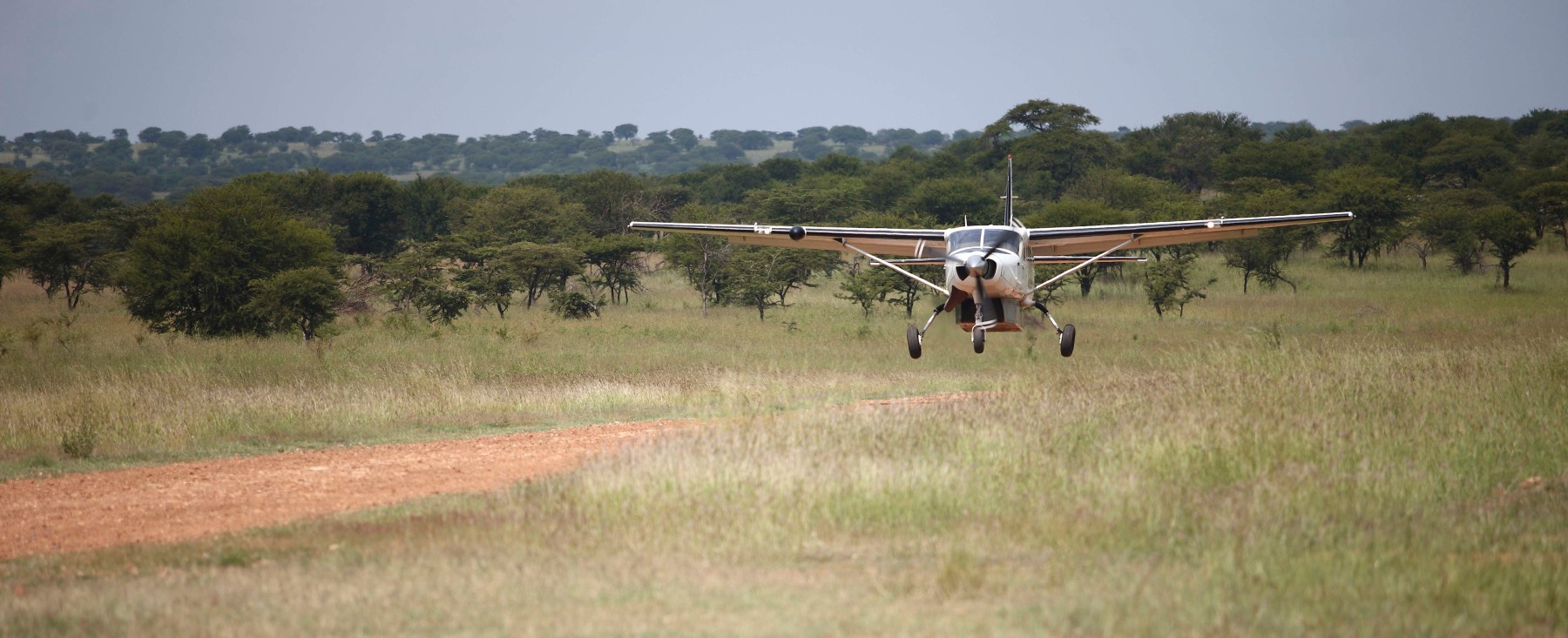 Safari Duma