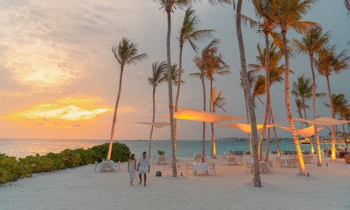 Joy Island