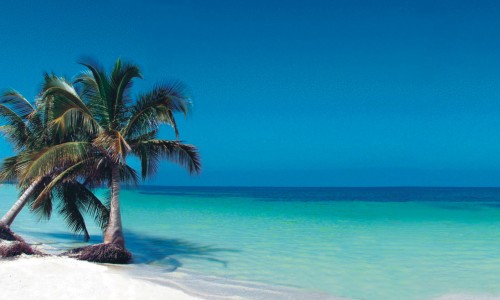 Cayo Levisa