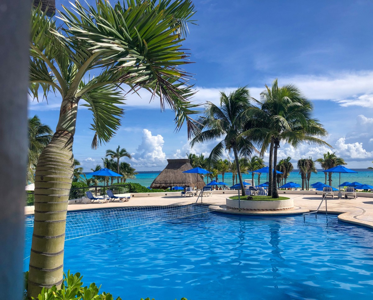The Reef Playacar