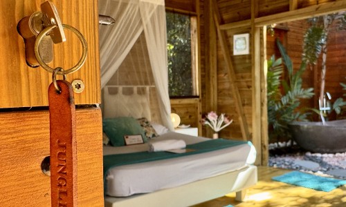 Jungle Lodge