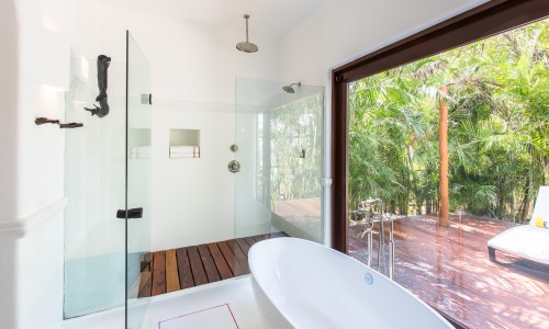Jungle Suite