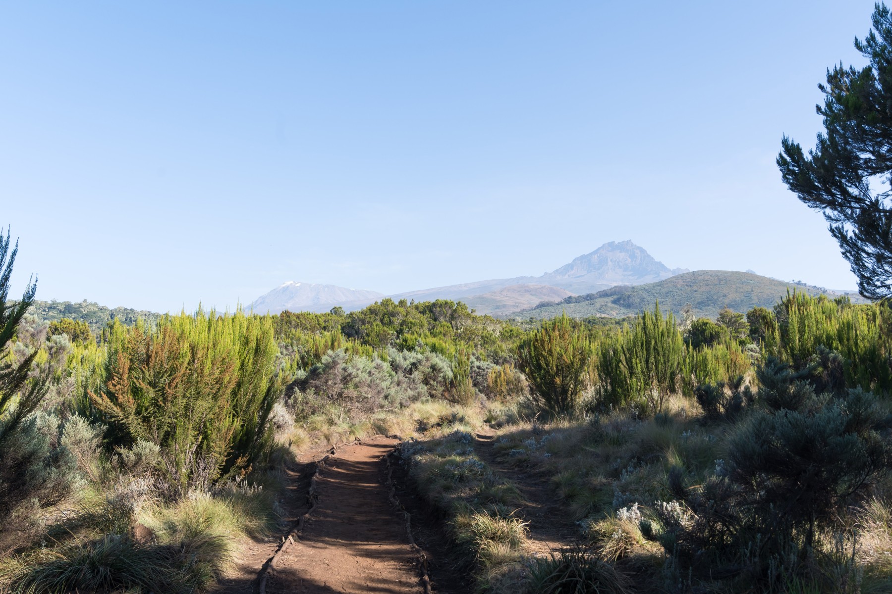 Trekking Tumbusi