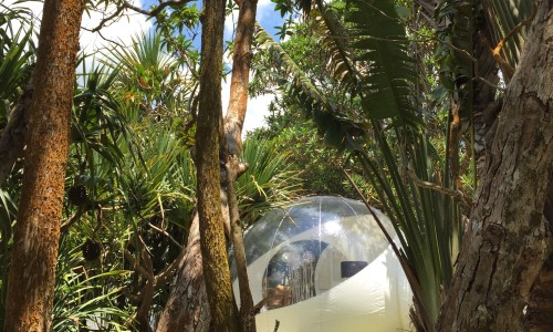 Bubble Lodge Bois Chéri