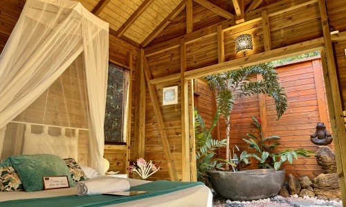 Jungle Lodge