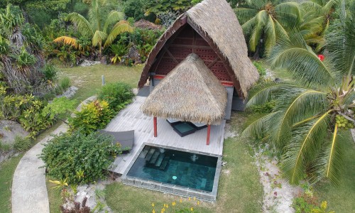 Bungalow Premium Jardin Piscine