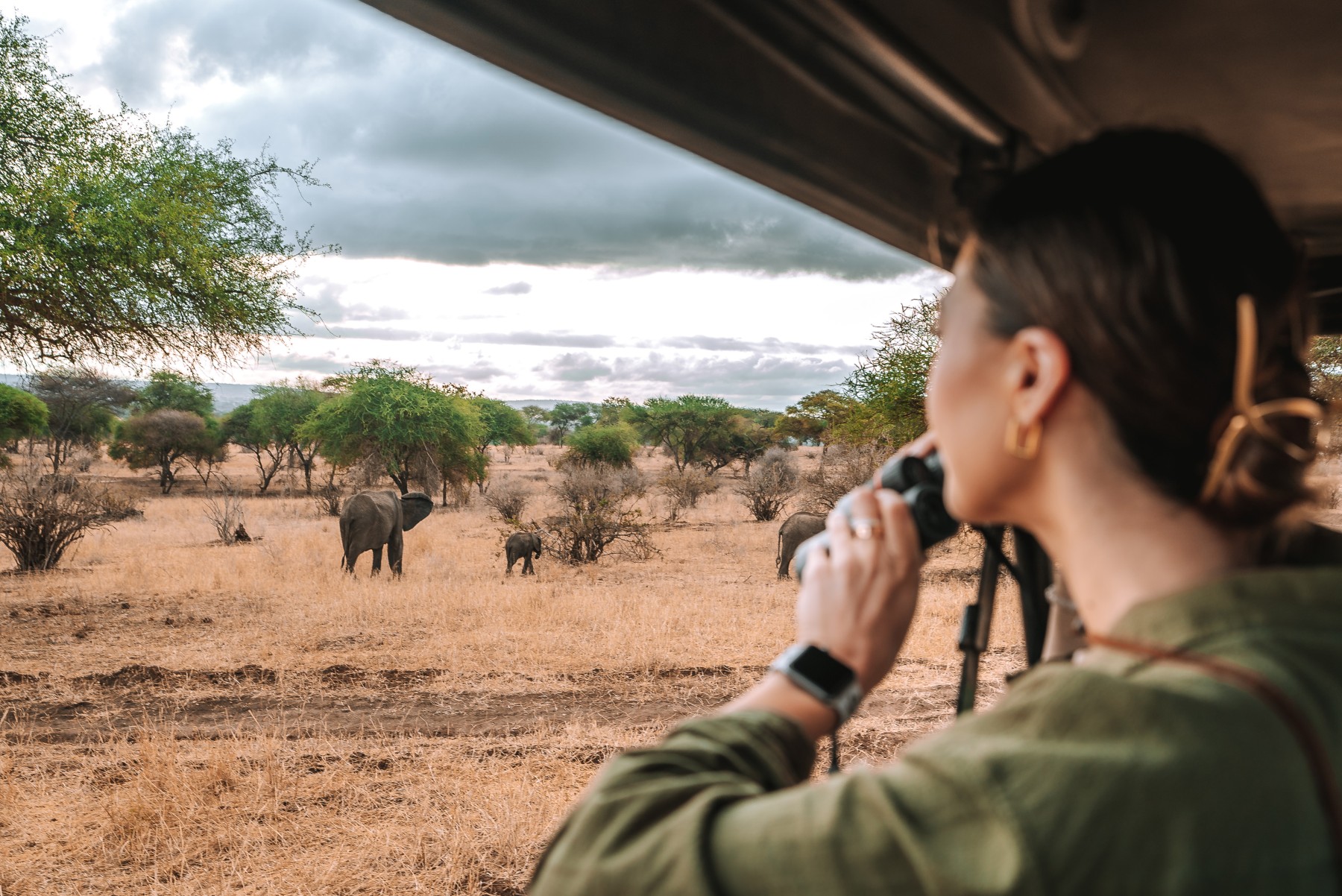 Safari Twiga