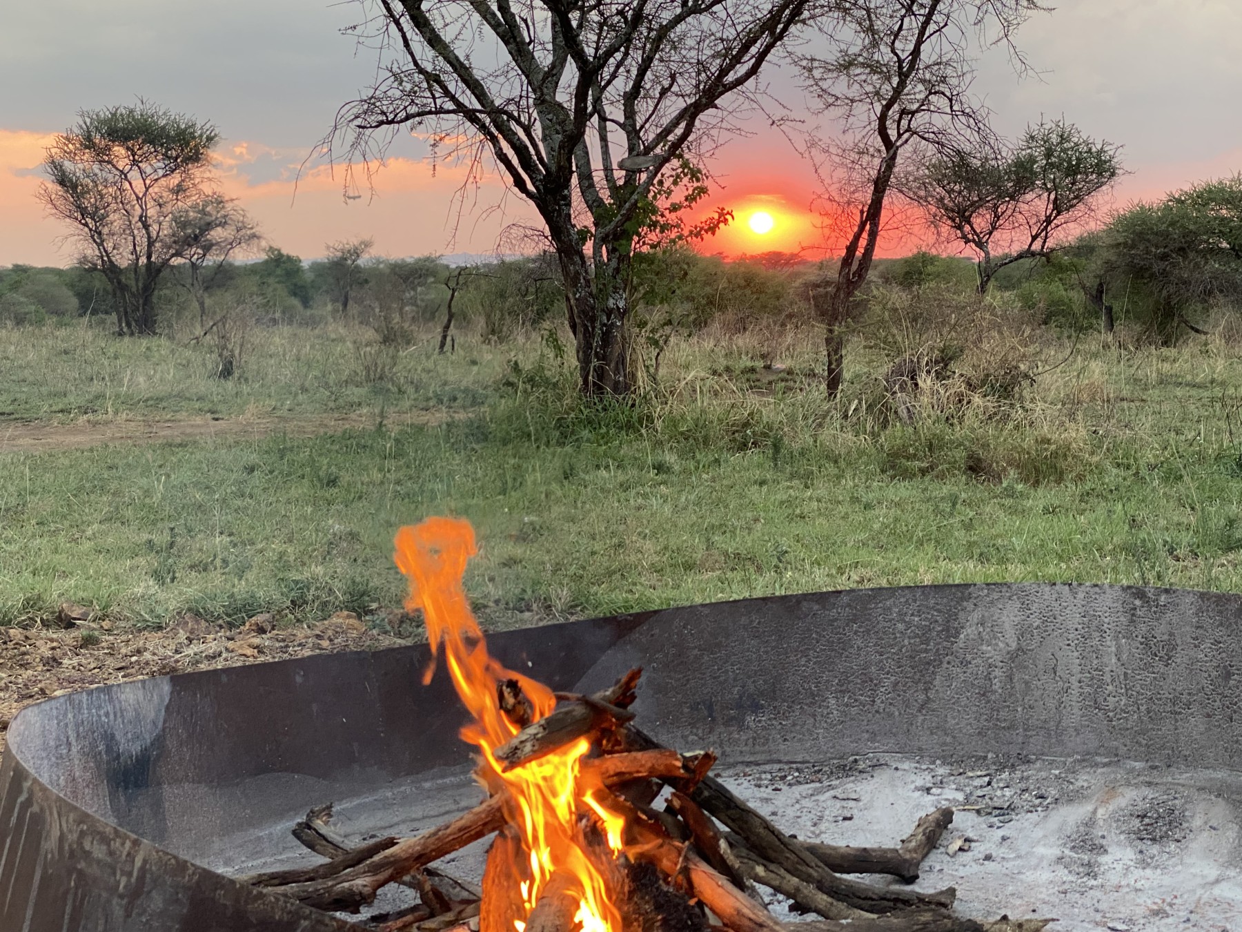 Whisper Serengeti