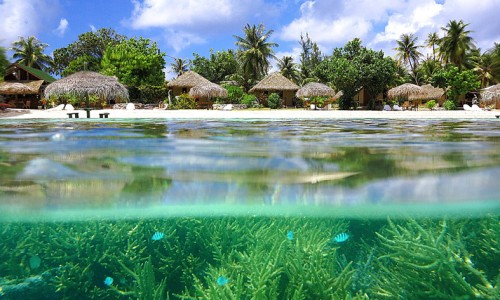 Pension Pearl Havaiki Lodge