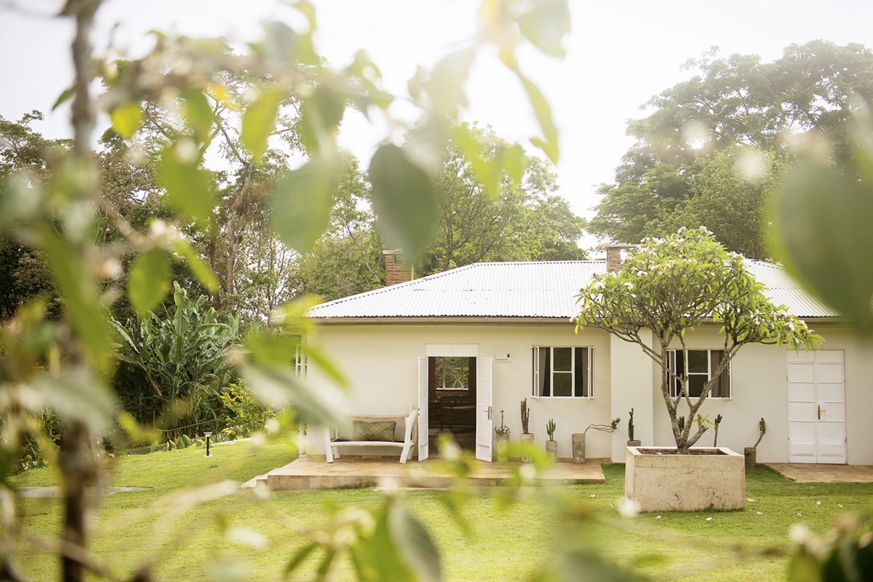 Kilimanjaro Coffee Lodge