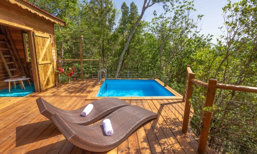 Jungle Lodge