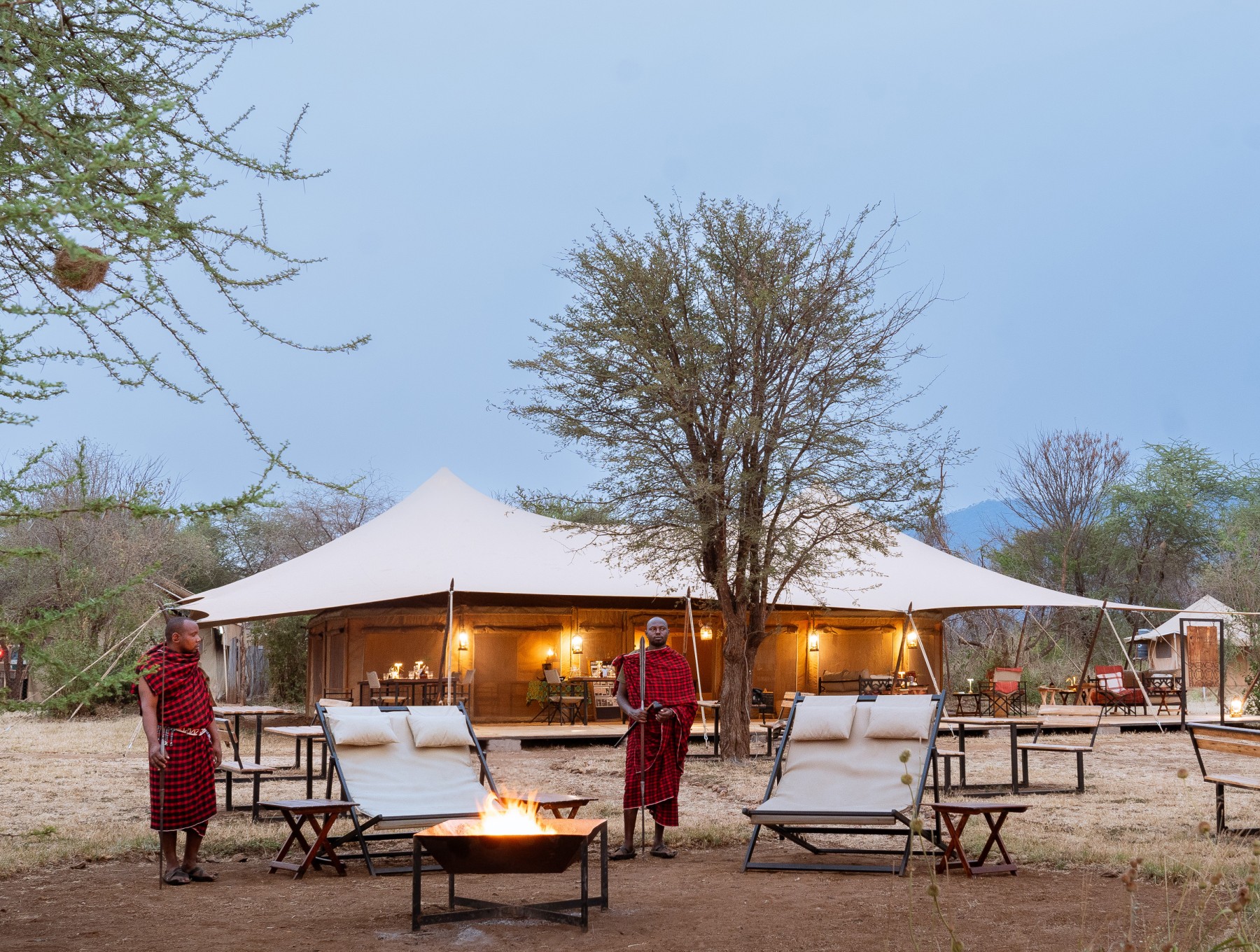 Whisper Serengeti