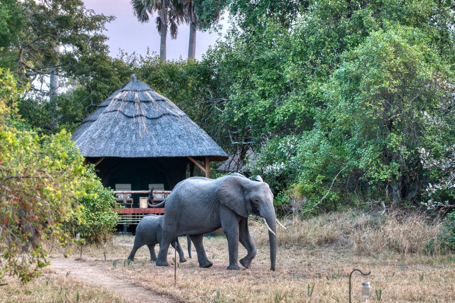 Mbali Mabli Katavi Lodge
