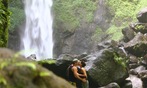 Jungle Bay Dominica