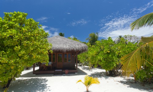 Deluxe Villa

