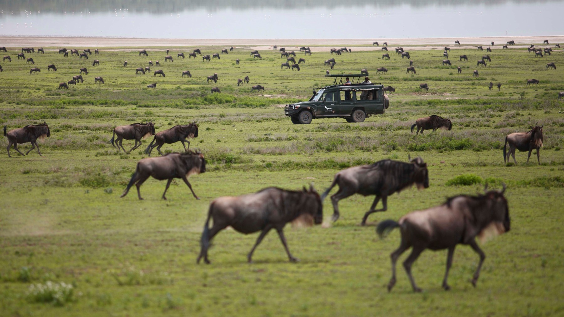Safari Kifaru