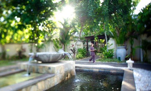 Photo 8 - 