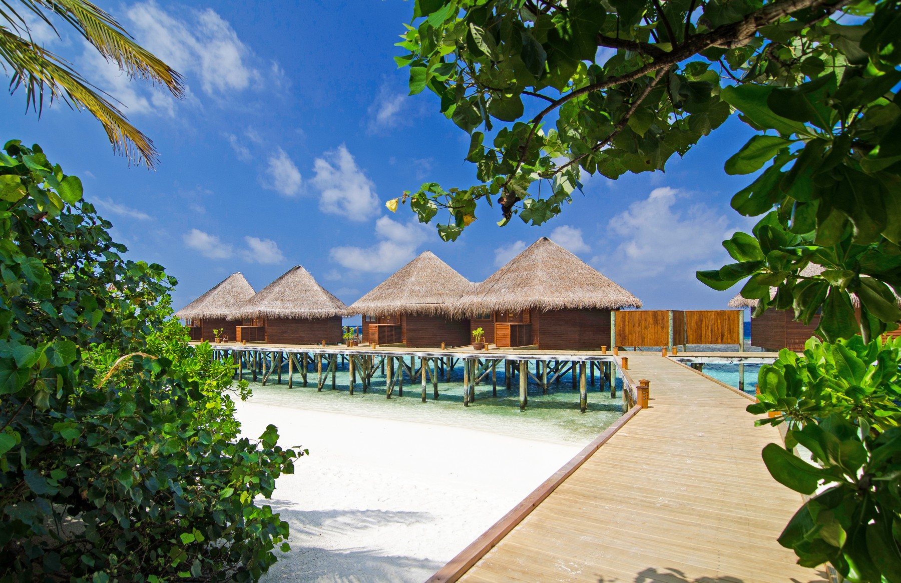 V Villas Maldives at Mirihi