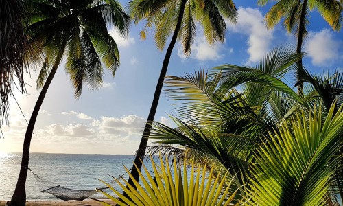 Le Tikehau by Pearl Resorts