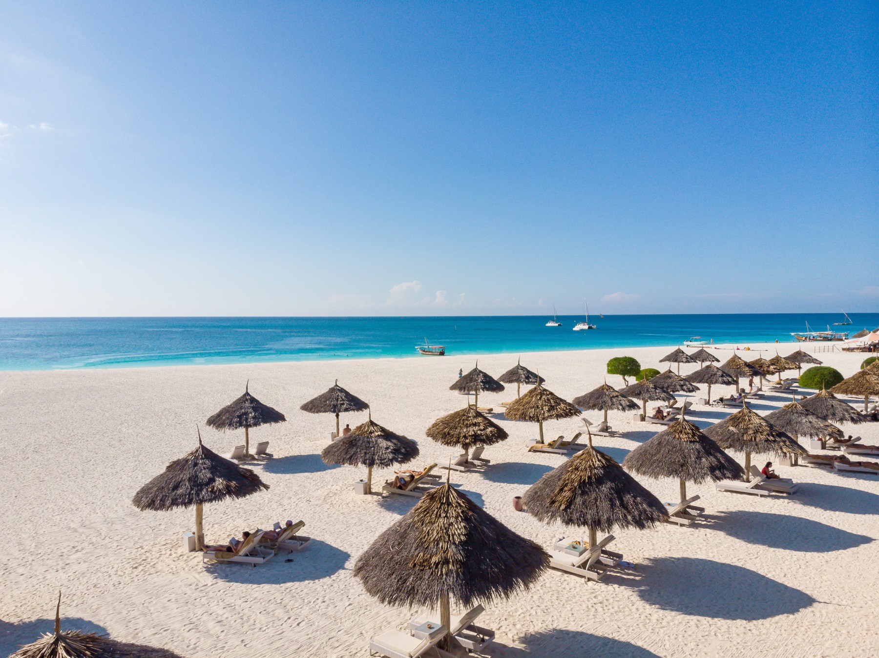 Gold Zanzibar